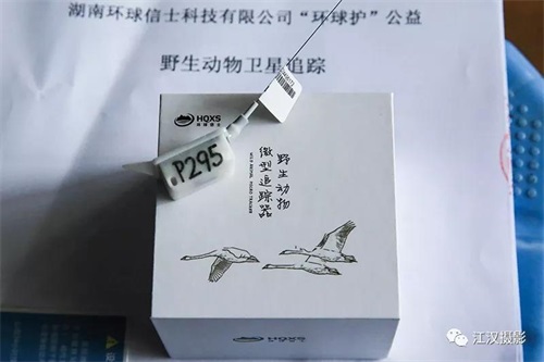 尊龙凯时,湖南野生动物追踪,湖南卫星追踪器,湖南追踪器