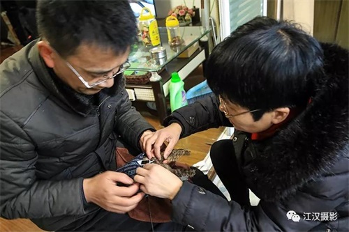 尊龙凯时,湖南野生动物追踪,湖南卫星追踪器,湖南追踪器