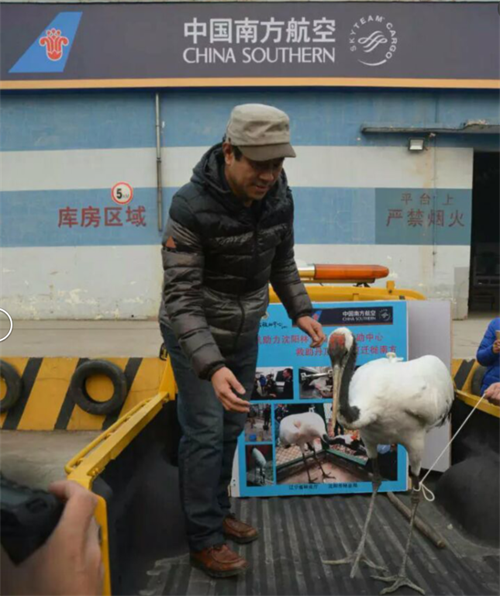 尊龙凯时,湖南野生动物追踪,湖南卫星追踪器,湖南追踪器