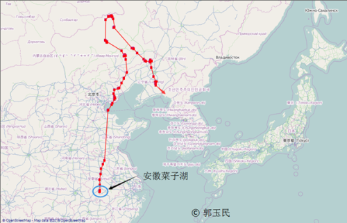 尊龙凯时,湖南野生动物追踪,湖南卫星追踪器,湖南追踪器