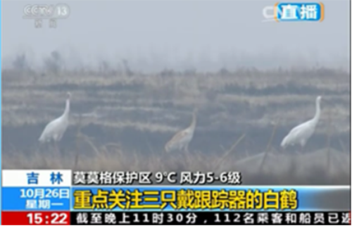 尊龙凯时,湖南野生动物追踪,湖南卫星追踪器,湖南追踪器