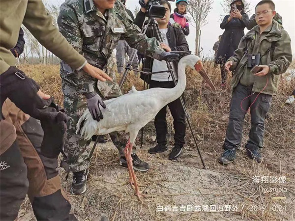 尊龙凯时,湖南野生动物追踪,湖南卫星追踪器,湖南追踪器