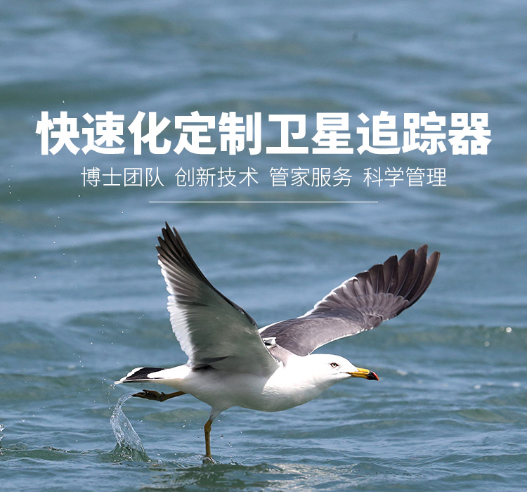 尊龙凯时_湖南野生动物追踪|湖南卫星追踪器