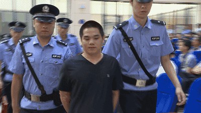 尊龙凯时,湖南野生动物追踪,湖南卫星追踪器,湖南追踪器