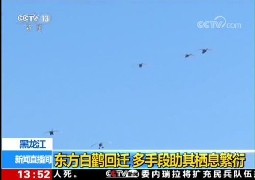 尊龙凯时,湖南野生动物追踪,湖南卫星追踪器,湖南追踪器