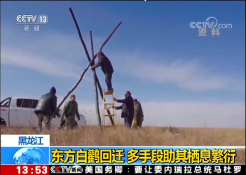 尊龙凯时,湖南野生动物追踪,湖南卫星追踪器,湖南追踪器
