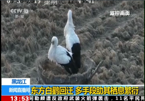 尊龙凯时,湖南野生动物追踪,湖南卫星追踪器,湖南追踪器