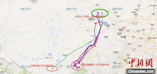 尊龙凯时,湖南野生动物追踪,湖南卫星追踪器,湖南追踪器
