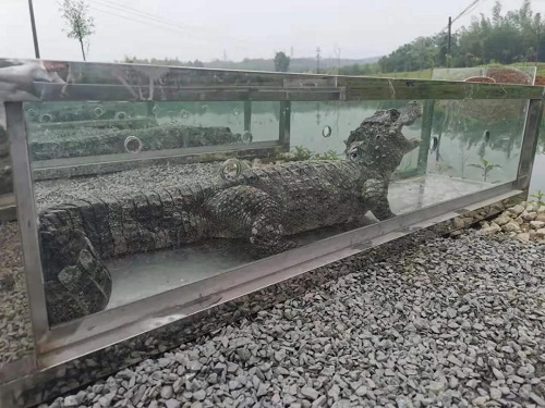 尊龙凯时,湖南野生动物追踪,湖南卫星追踪器,湖南追踪器
