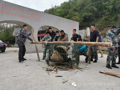 尊龙凯时,湖南野生动物追踪,湖南卫星追踪器,湖南追踪器