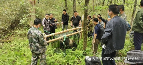 尊龙凯时,湖南野生动物追踪,湖南卫星追踪器,湖南追踪器
