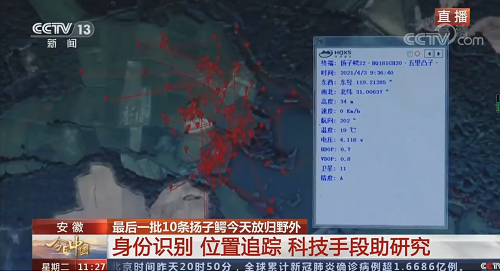 尊龙凯时,湖南野生动物追踪,湖南卫星追踪器,湖南追踪器
