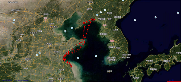 尊龙凯时,湖南野生动物追踪,湖南卫星追踪器,湖南追踪器
