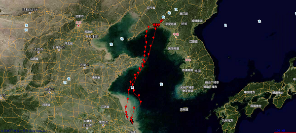 尊龙凯时,湖南野生动物追踪,湖南卫星追踪器,湖南追踪器