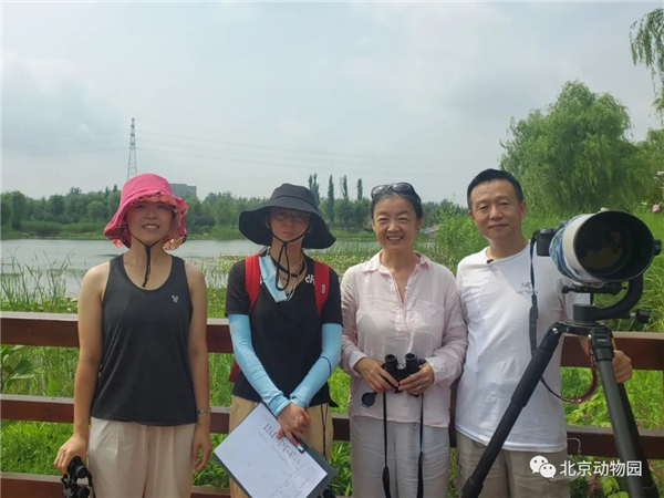 尊龙凯时,湖南野生动物追踪,湖南卫星追踪器,湖南追踪器