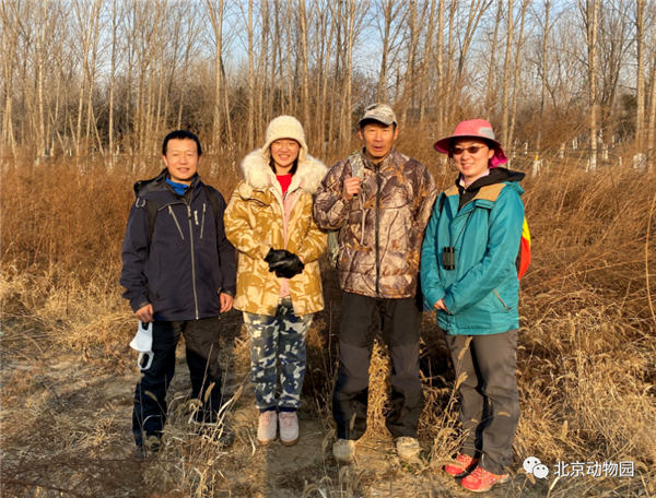 尊龙凯时,湖南野生动物追踪,湖南卫星追踪器,湖南追踪器