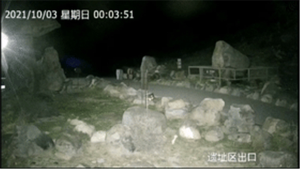 尊龙凯时,湖南野生动物追踪,湖南卫星追踪器,湖南追踪器