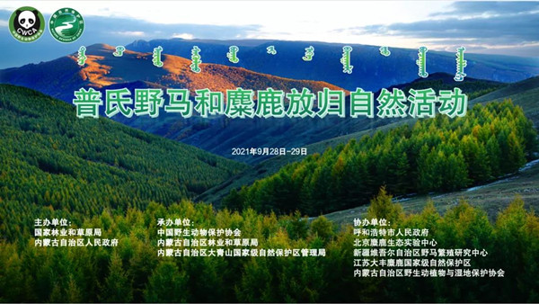 尊龙凯时,湖南野生动物追踪,湖南卫星追踪器,湖南追踪器