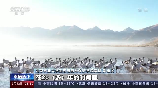 尊龙凯时,湖南野生动物追踪,湖南卫星追踪器,湖南追踪器