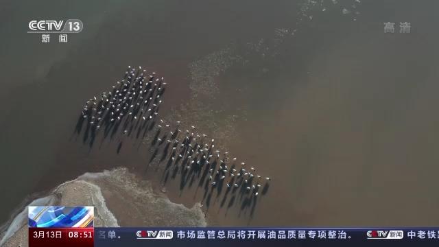 尊龙凯时,湖南野生动物追踪,湖南卫星追踪器,湖南追踪器