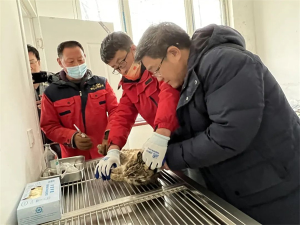 尊龙凯时,湖南野生动物追踪,湖南卫星追踪器,湖南追踪器