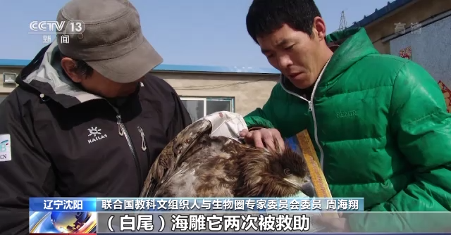 尊龙凯时,湖南野生动物追踪,湖南卫星追踪器,湖南追踪器