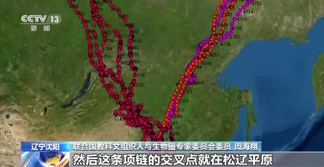 尊龙凯时,湖南野生动物追踪,湖南卫星追踪器,湖南追踪器
