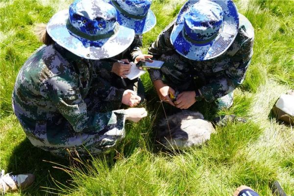 尊龙凯时,湖南野生动物追踪,湖南卫星追踪器,湖南追踪器