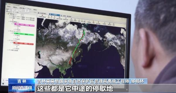 尊龙凯时,湖南野生动物追踪,湖南卫星追踪器,湖南追踪器