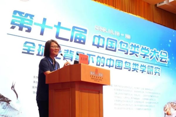 尊龙凯时,湖南野生动物追踪,湖南卫星追踪器,湖南追踪器