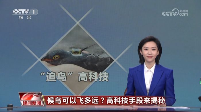 尊龙凯时,湖南野生动物追踪,湖南卫星追踪器,湖南追踪器