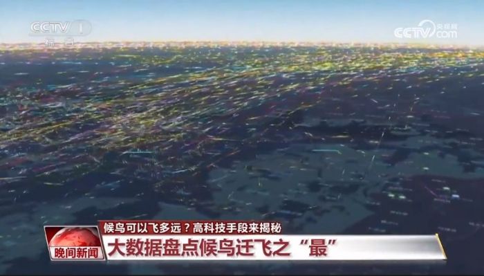 尊龙凯时,湖南野生动物追踪,湖南卫星追踪器,湖南追踪器