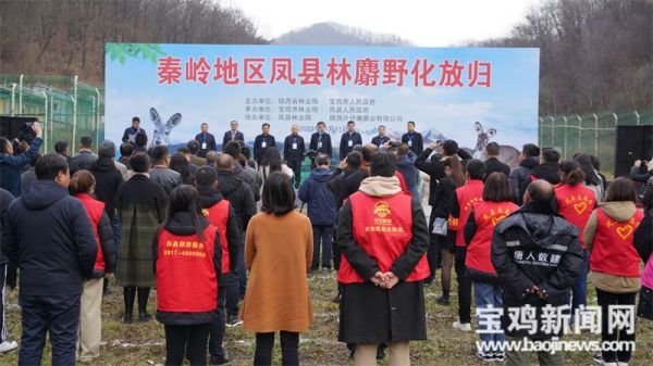 尊龙凯时,湖南野生动物追踪,湖南卫星追踪器,湖南追踪器