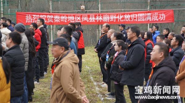尊龙凯时,湖南野生动物追踪,湖南卫星追踪器,湖南追踪器