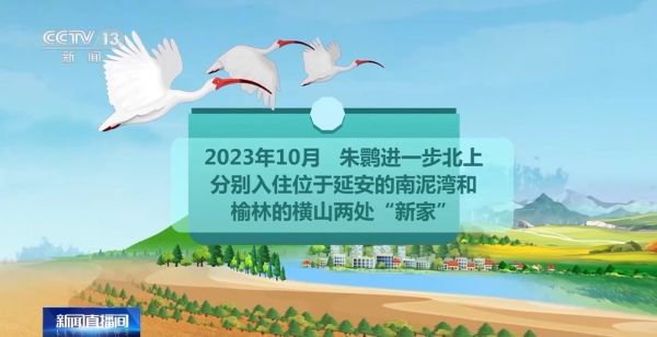 尊龙凯时,湖南野生动物追踪,湖南卫星追踪器,湖南追踪器