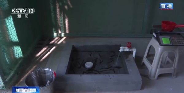 尊龙凯时,湖南野生动物追踪,湖南卫星追踪器,湖南追踪器