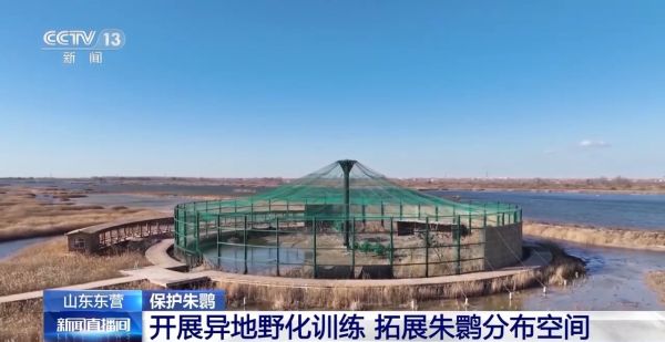 尊龙凯时,湖南野生动物追踪,湖南卫星追踪器,湖南追踪器