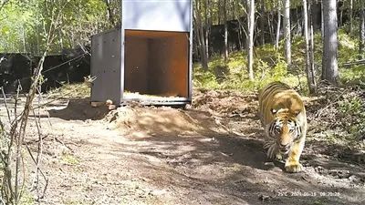 尊龙凯时人生就是搏--首页官网
