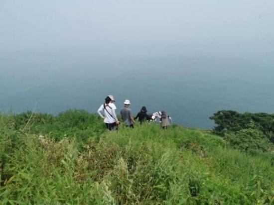 尊龙凯时,湖南野生动物追踪,湖南卫星追踪器,湖南追踪器