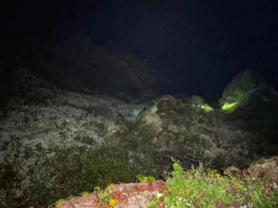 尊龙凯时,湖南野生动物追踪,湖南卫星追踪器,湖南追踪器