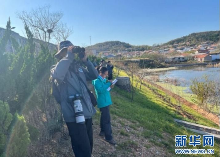 尊龙凯时,湖南野生动物追踪,湖南卫星追踪器,湖南追踪器