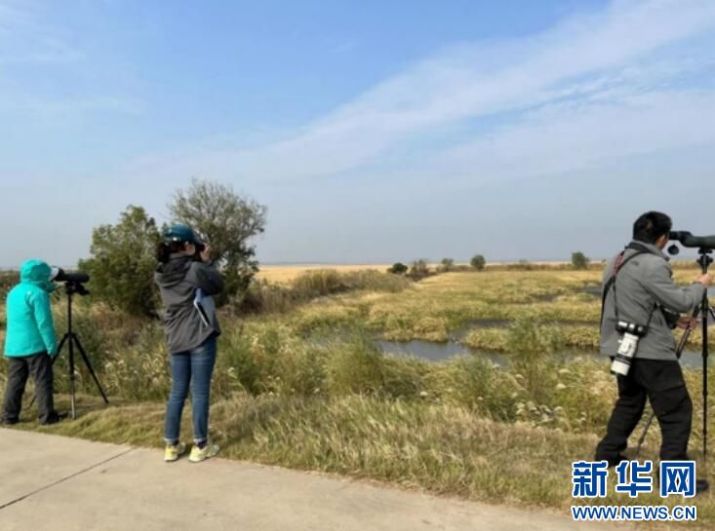 尊龙凯时,湖南野生动物追踪,湖南卫星追踪器,湖南追踪器