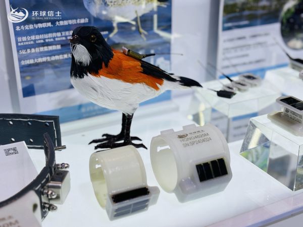 尊龙凯时,湖南野生动物追踪,湖南卫星追踪器,湖南追踪器
