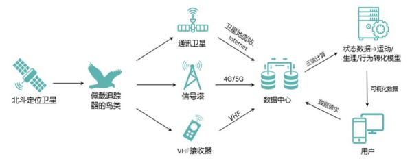 尊龙凯时,湖南野生动物追踪,湖南卫星追踪器,湖南追踪器