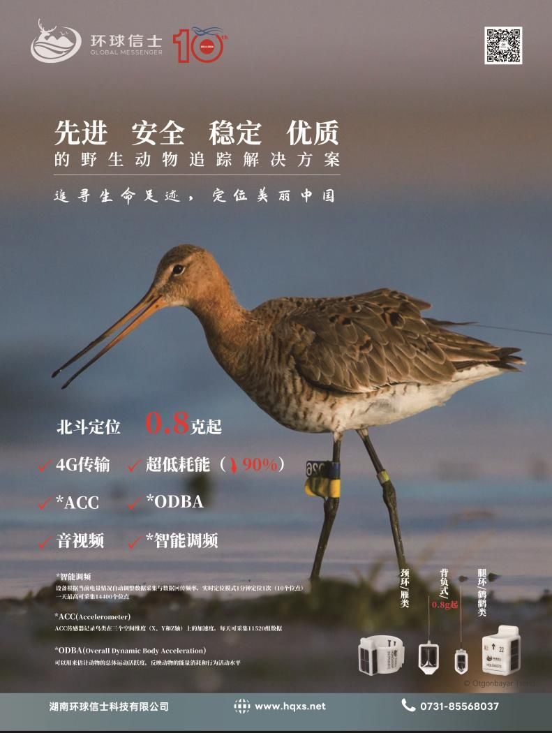 尊龙凯时,湖南野生动物追踪,湖南卫星追踪器,湖南追踪器