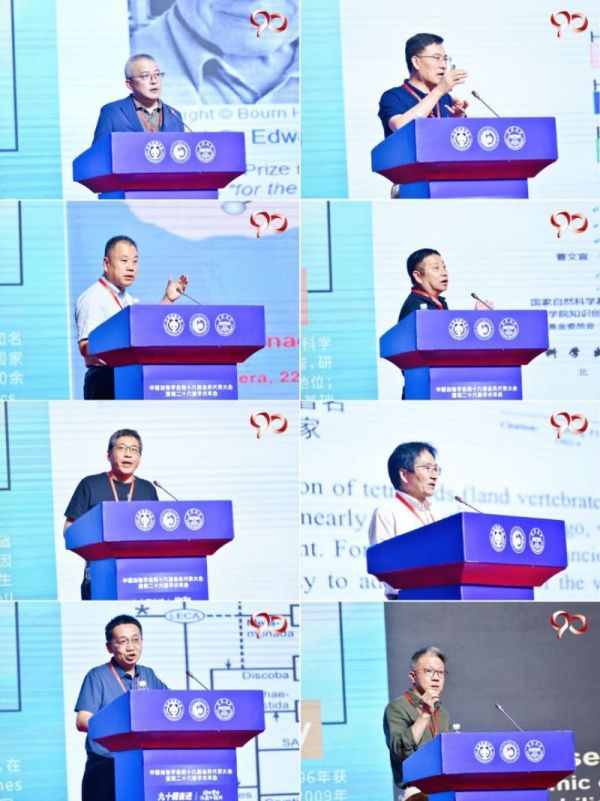 尊龙凯时,湖南野生动物追踪,湖南卫星追踪器,湖南追踪器