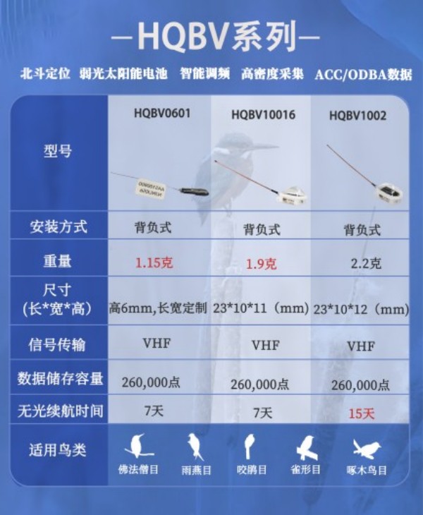 尊龙凯时,湖南野生动物追踪,湖南卫星追踪器,湖南追踪器