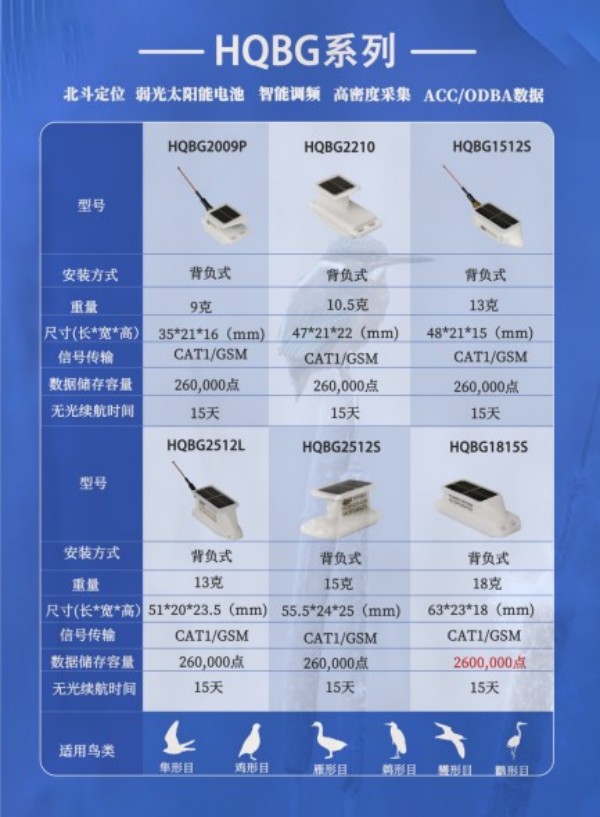 尊龙凯时,湖南野生动物追踪,湖南卫星追踪器,湖南追踪器