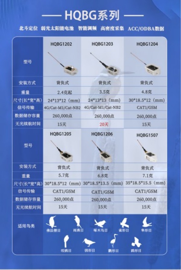 尊龙凯时,湖南野生动物追踪,湖南卫星追踪器,湖南追踪器