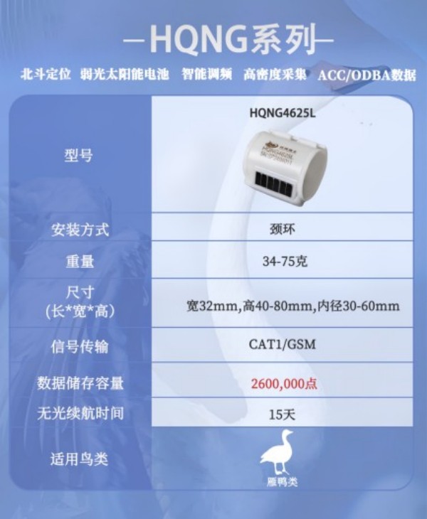 尊龙凯时,湖南野生动物追踪,湖南卫星追踪器,湖南追踪器